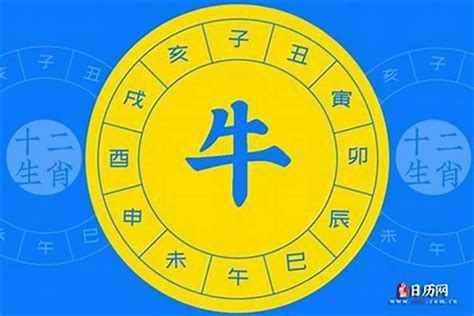 1984年生肖五行|1984年五行属什么？1984年出生是什么命？